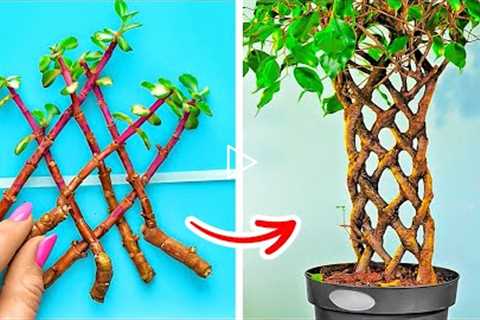 Awesome Plant Growing Hacks For Beginners