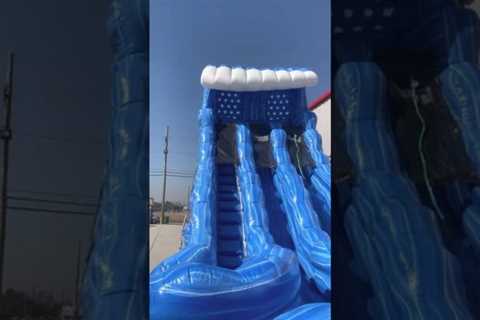 5 in 1 Dazzling Bounce House Combo Rental