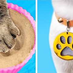 Cute And Clever Pet Hacks, Gadgets And DIY Crafts