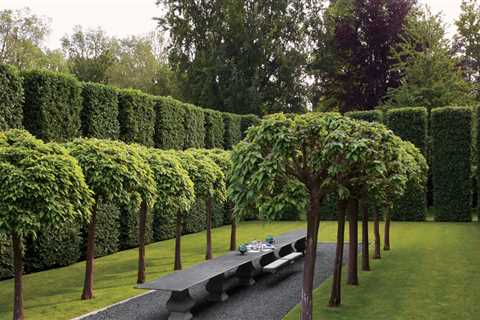Luxury Landscape Architecture: An Overview