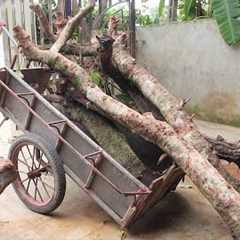 Amazing Breakthrough Woodworking Projects And Skills | Best Hardwood Tree Trunk Recycling Ideas Ever