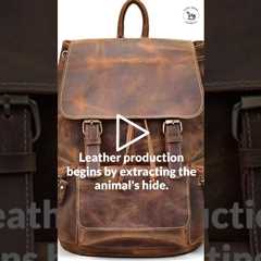 Facts about Leather - What You Need to Know