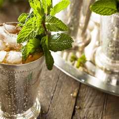 15 Mint Julep Recipes for the Kentucky Derby