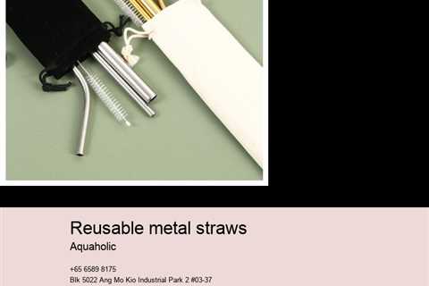 reusable metal straws